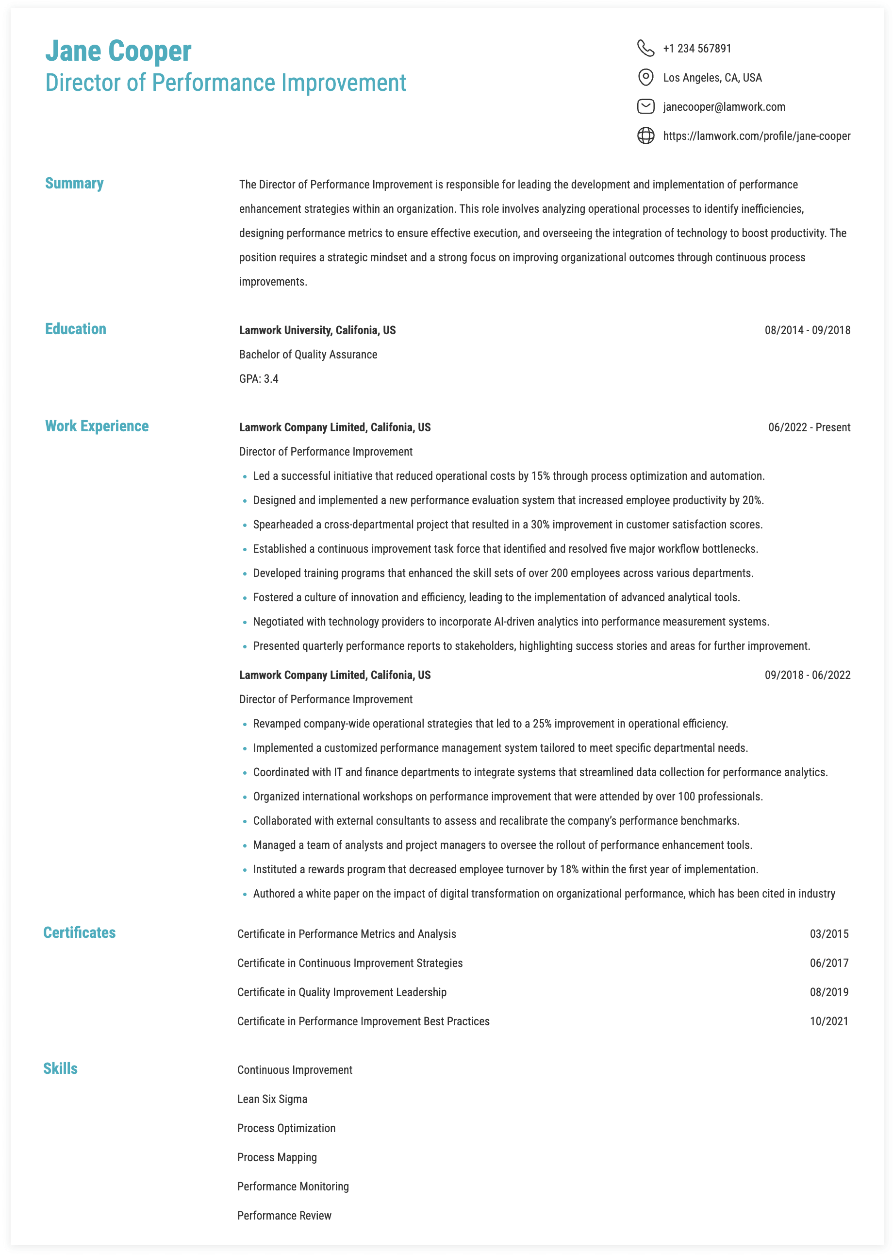 Performance Task Resume Example Director of Performance Improvement Resume Example