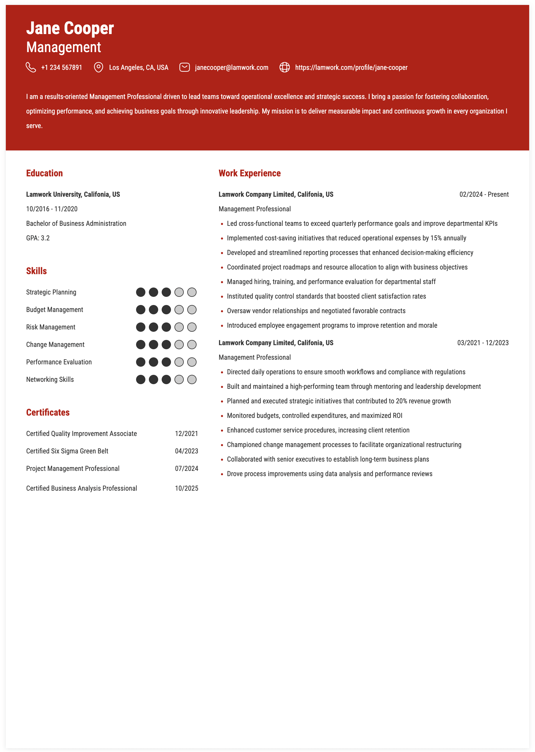 Management Resume Example