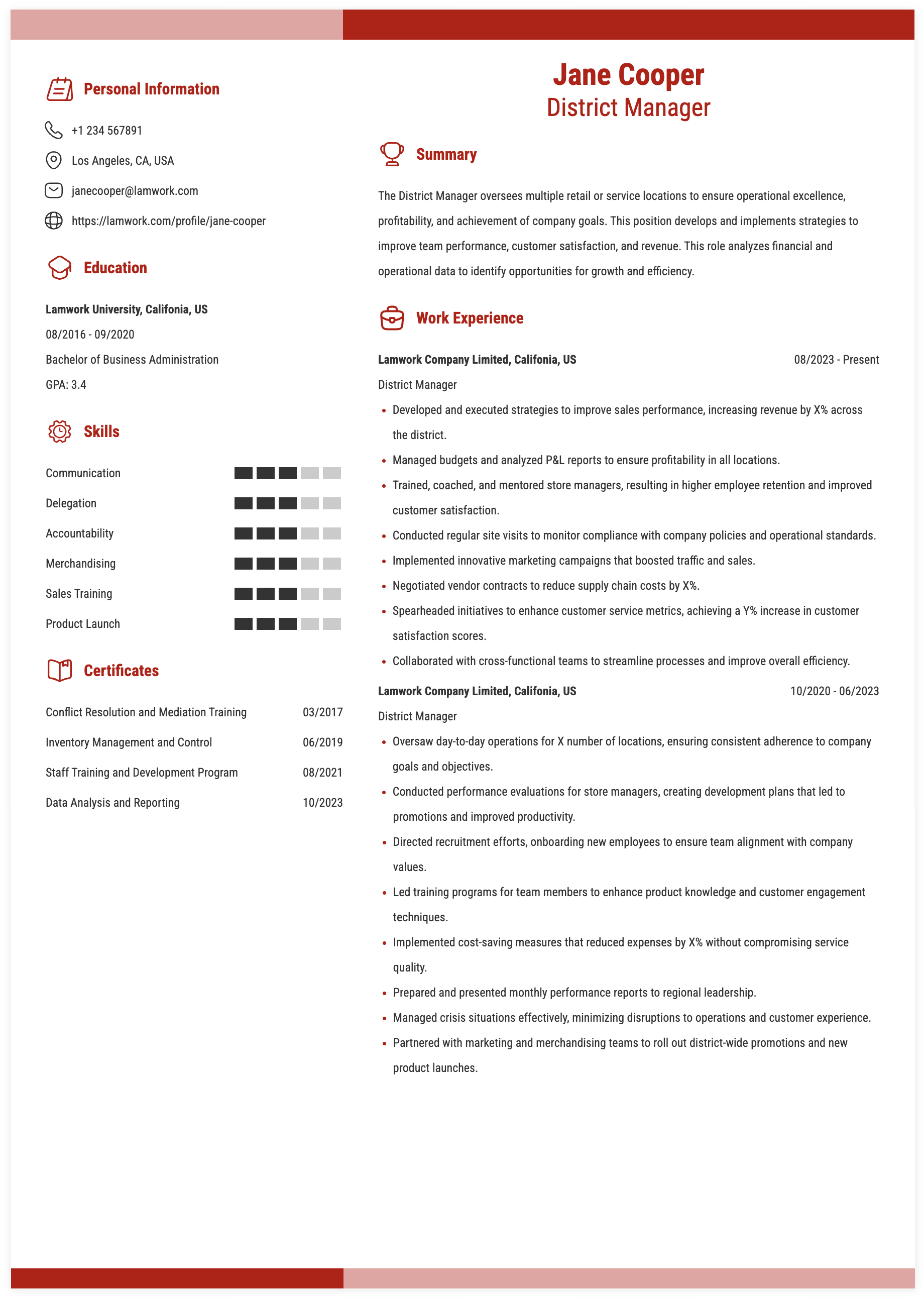 District Manager Resume Example