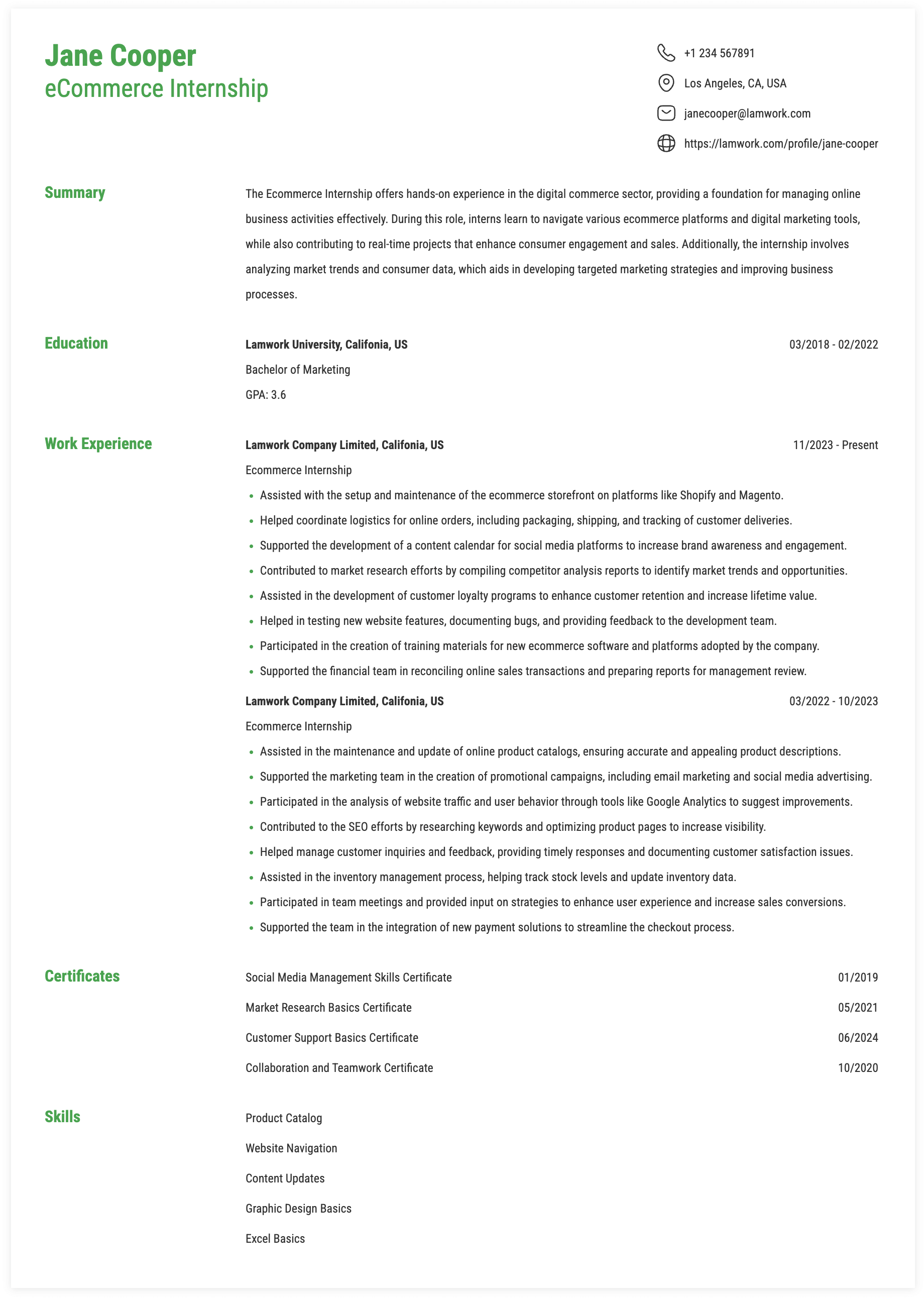 Unregulated Example Ecommerce Internship Resume Example