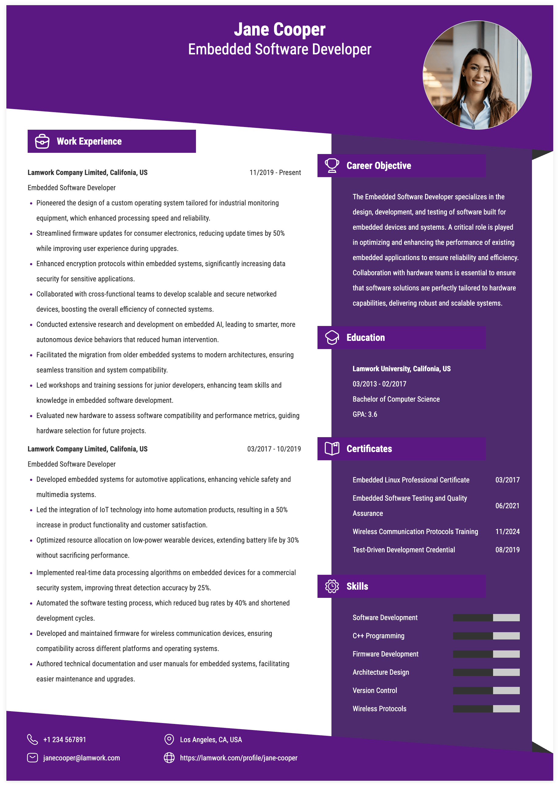 Embedded Software Developer Resume Example