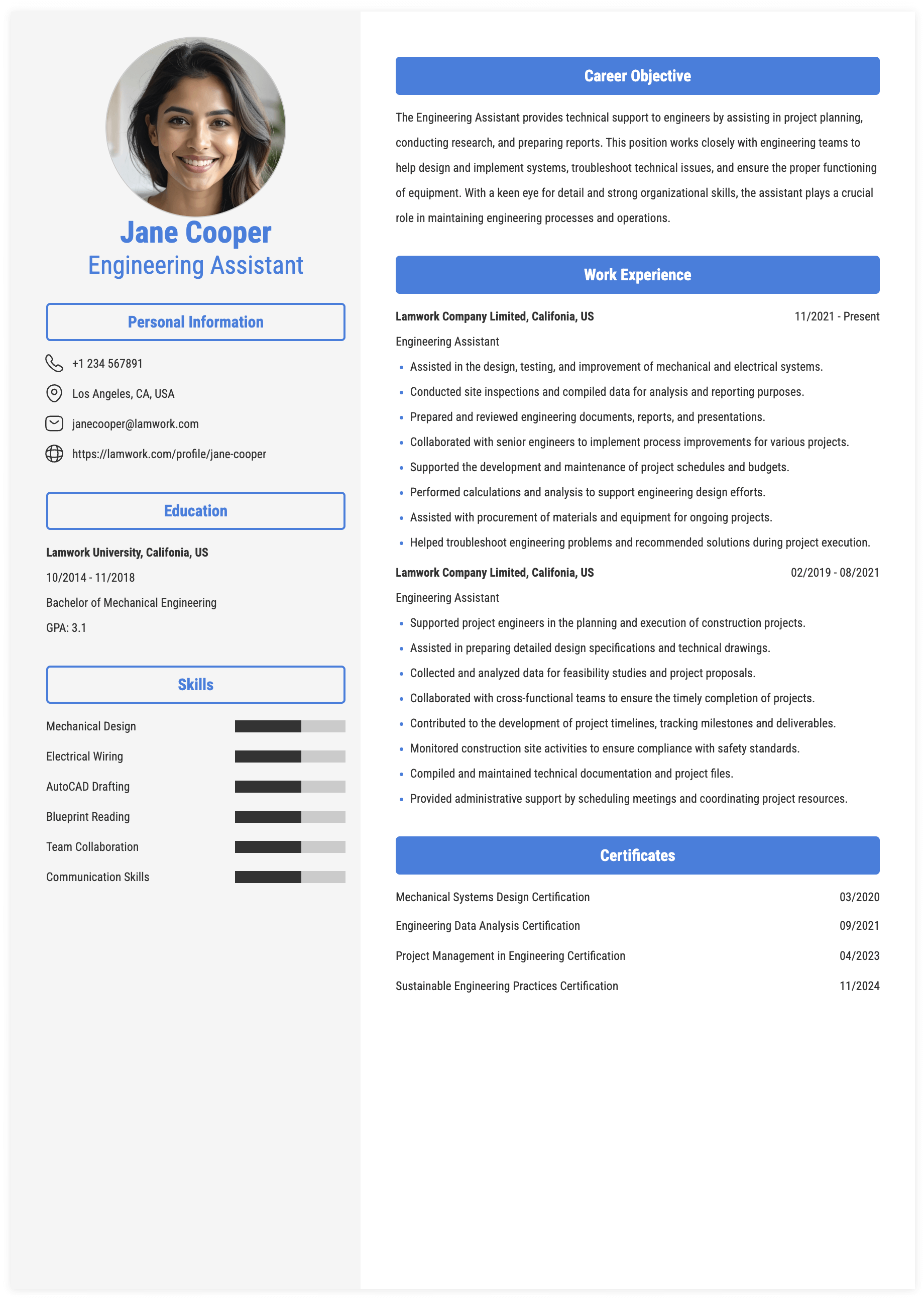 Engineering Assistant Resume Example