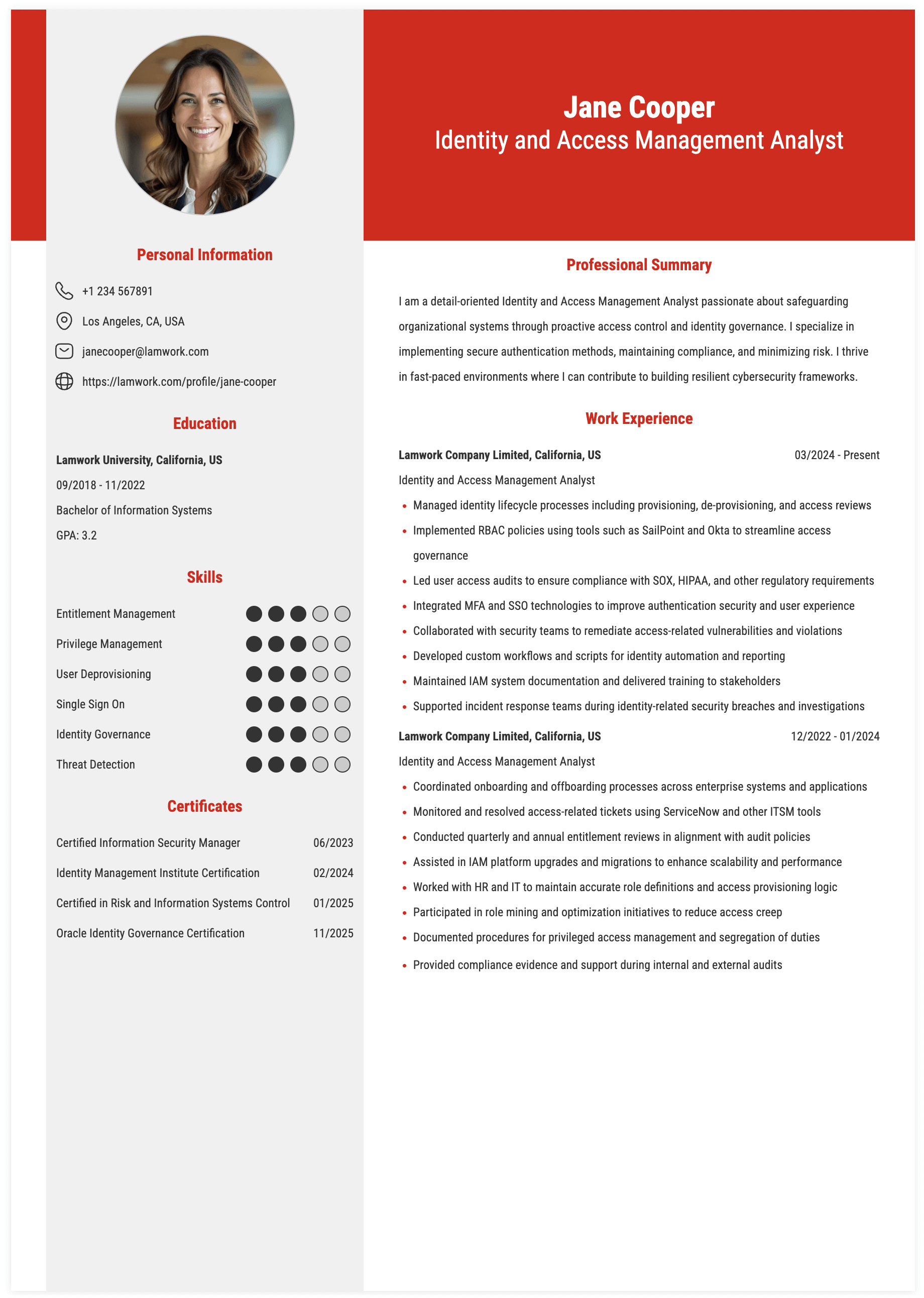 Identity and Access Management Analyst Resume Example