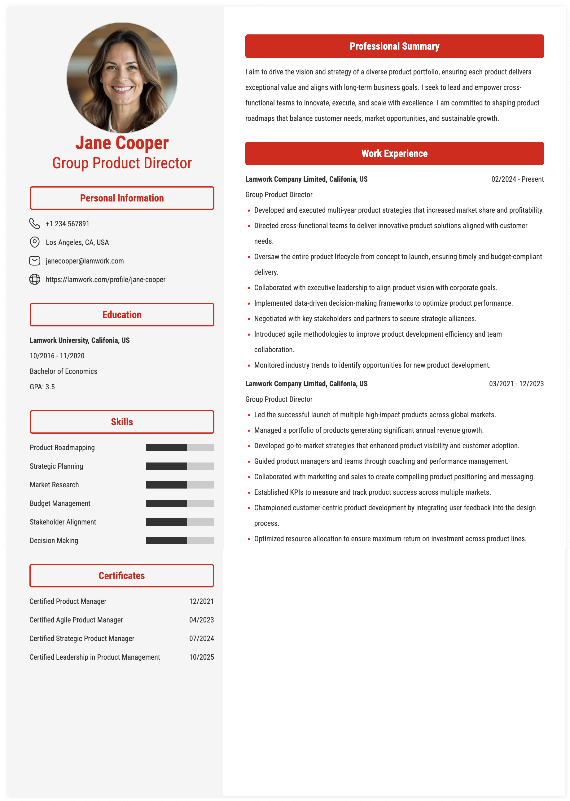 Group Product Director Resume Example