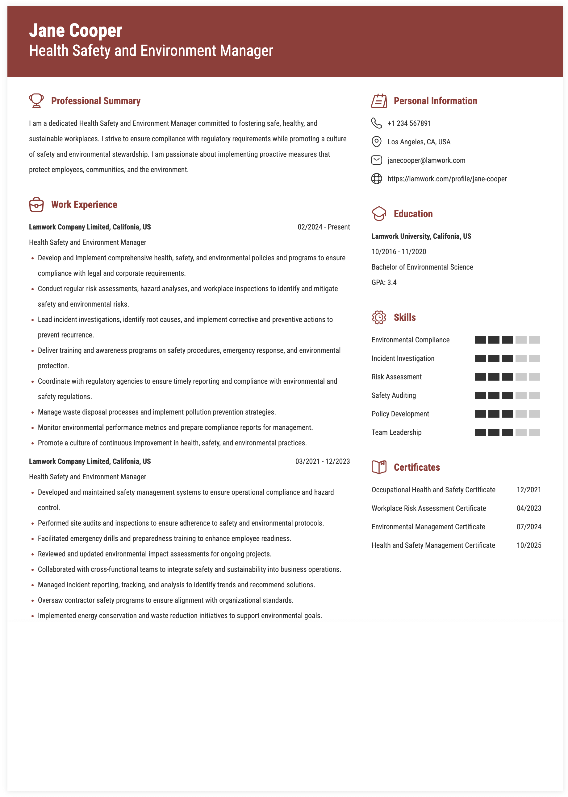 Health Safety and Environment Manager Resume Example