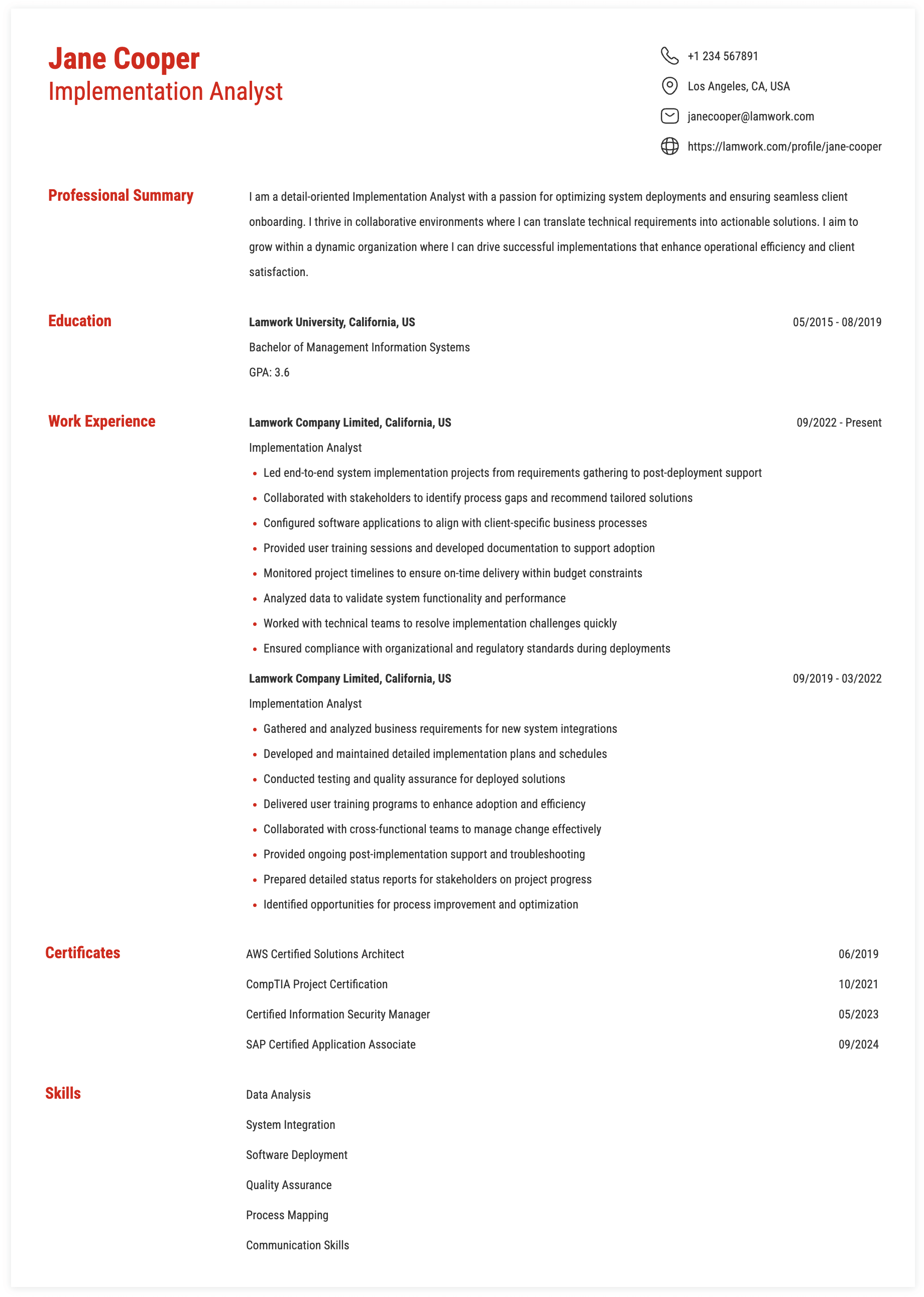Implementation Analyst Resume Sample Implementation Analyst Resume Example