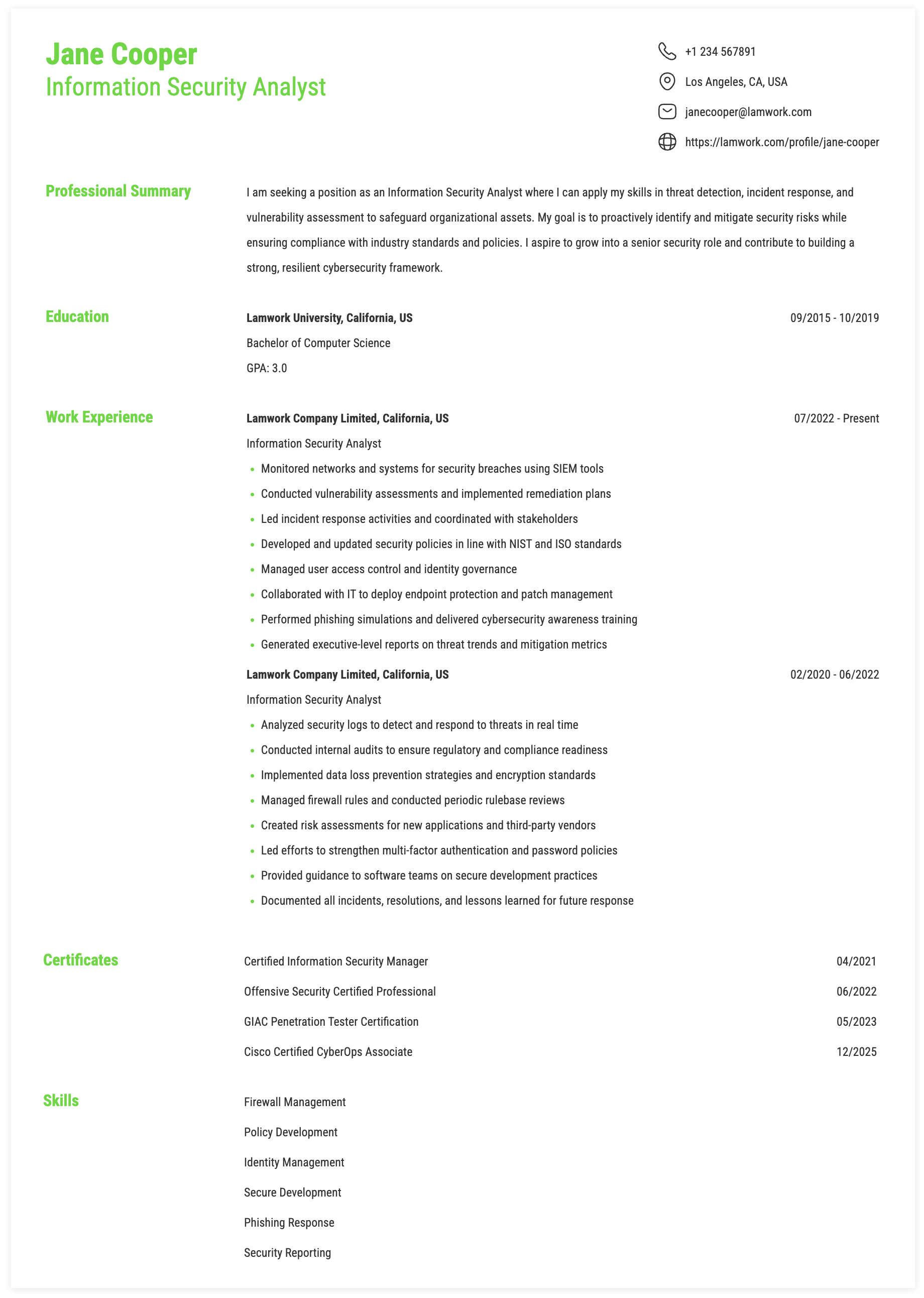 Information Security Analyst Resume Example