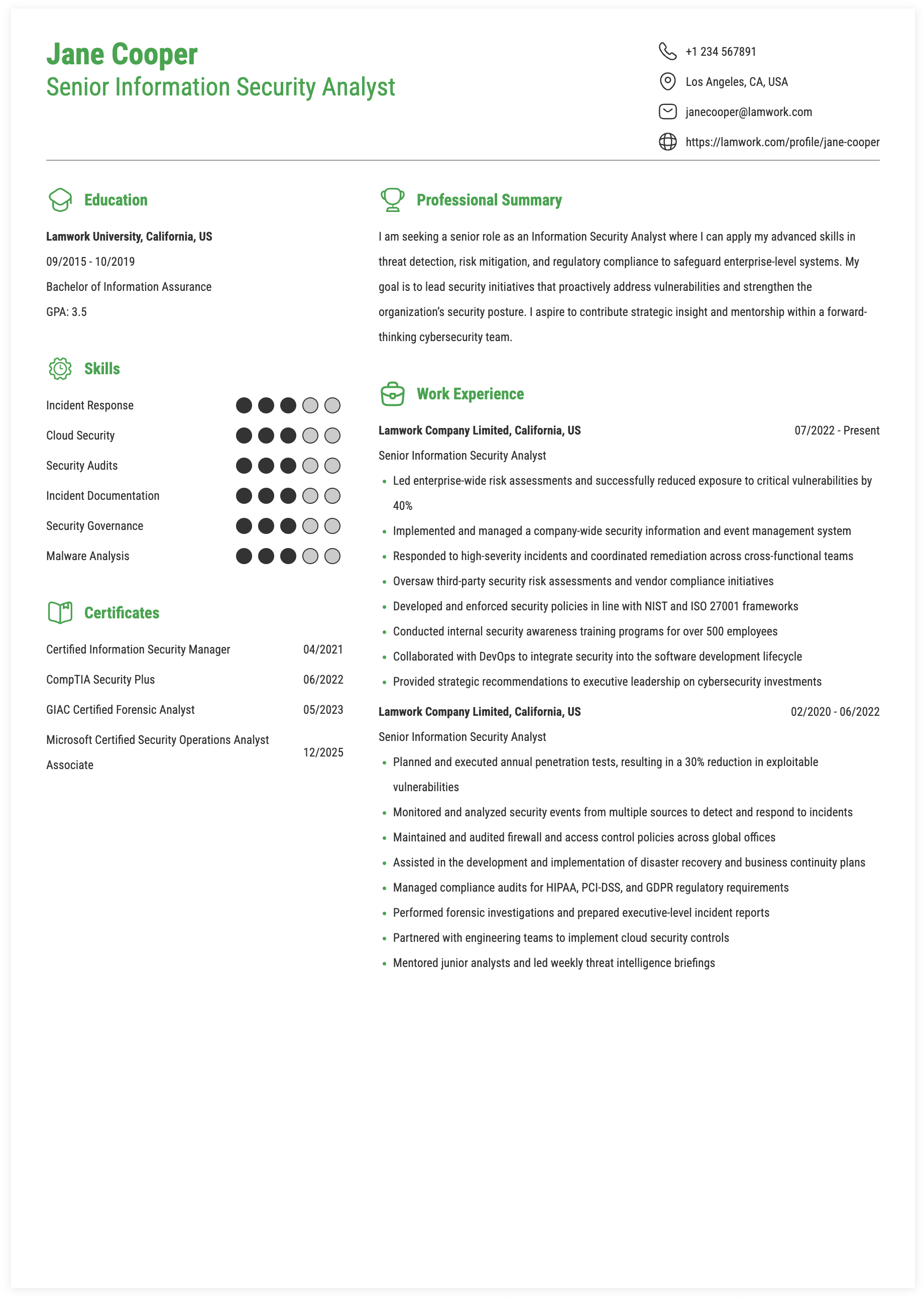 Senior Information Security Analyst Resume Example