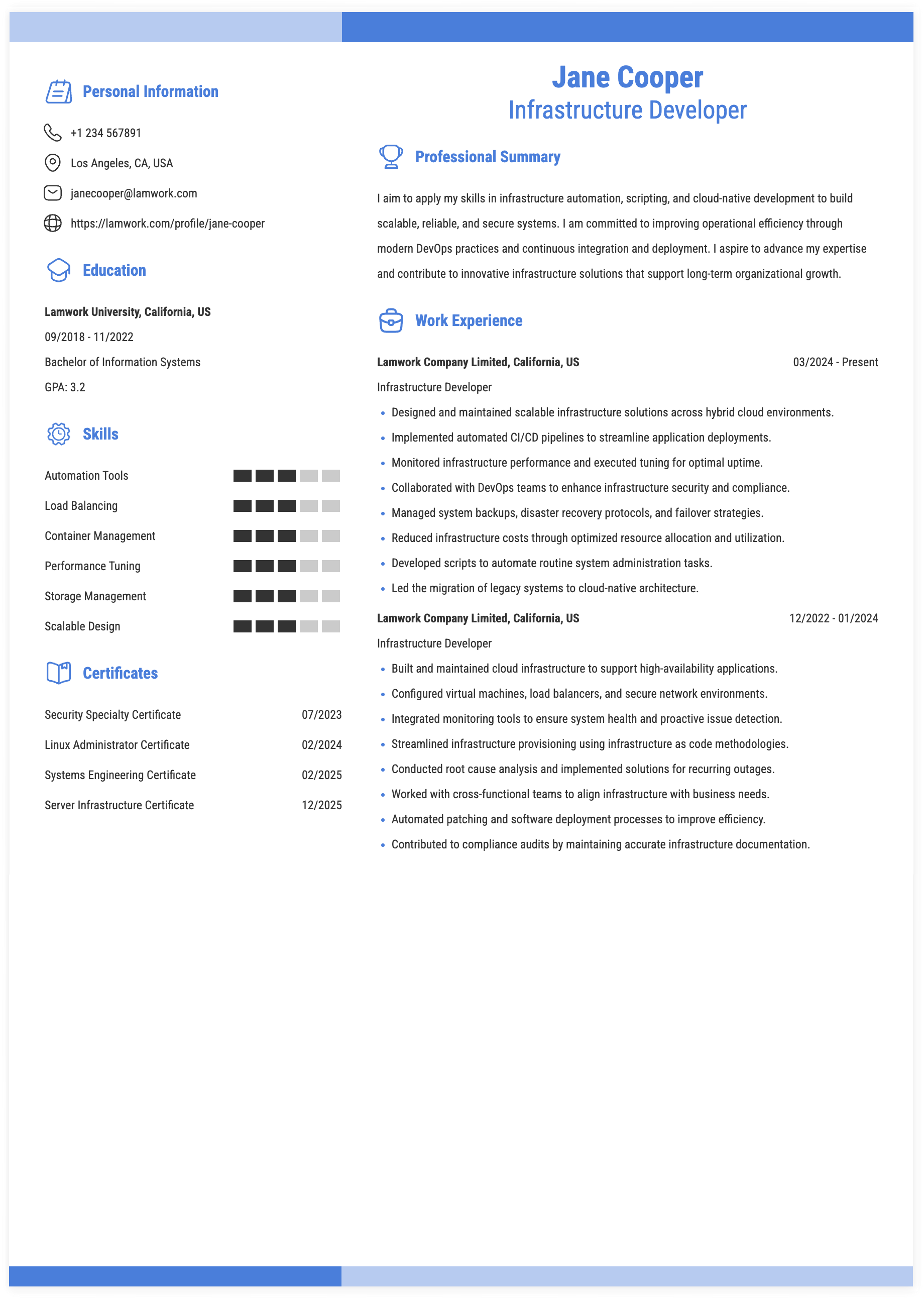 Infrastructure Developer Resume Example