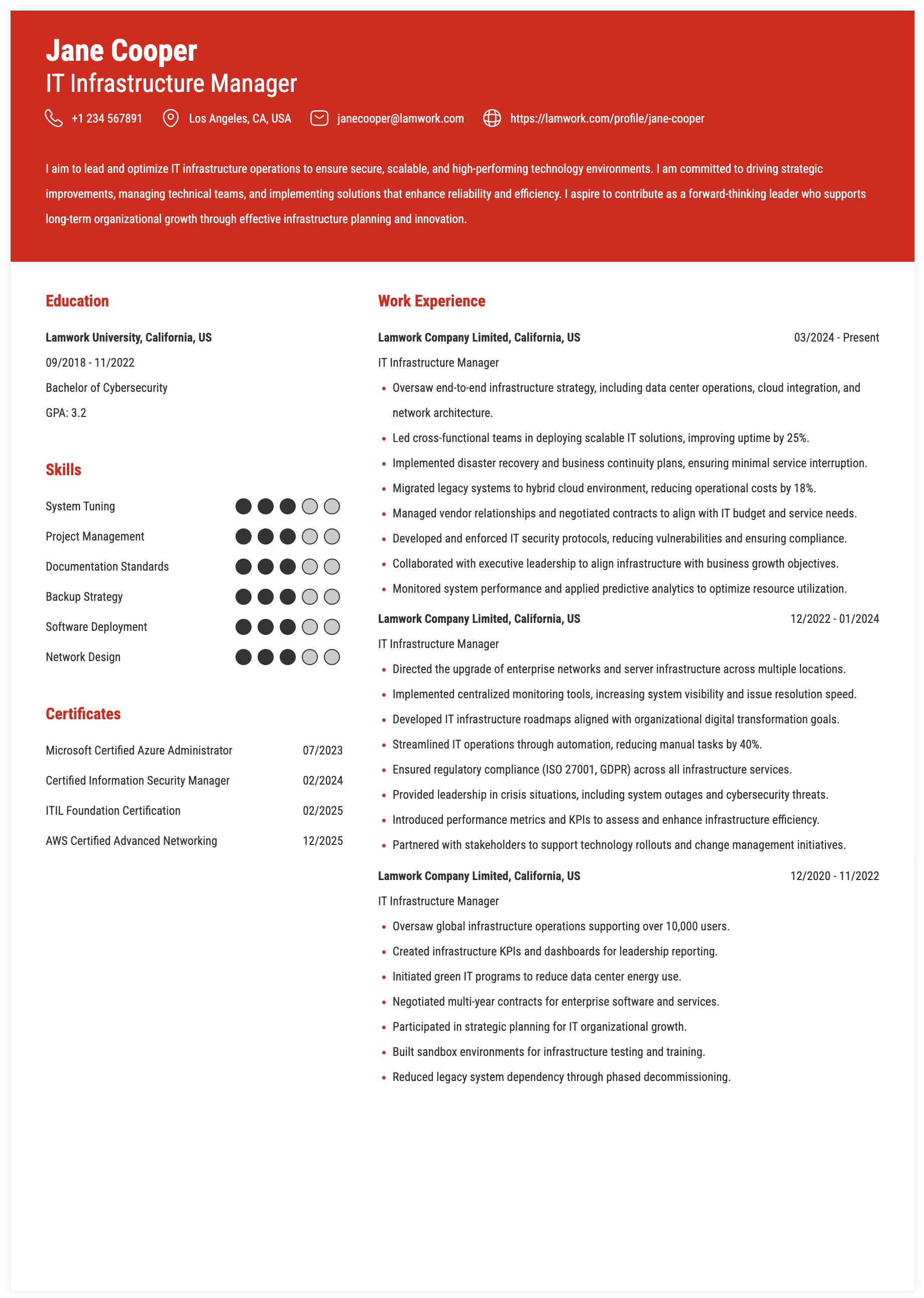 IT Infrastructure Manager Resume Example