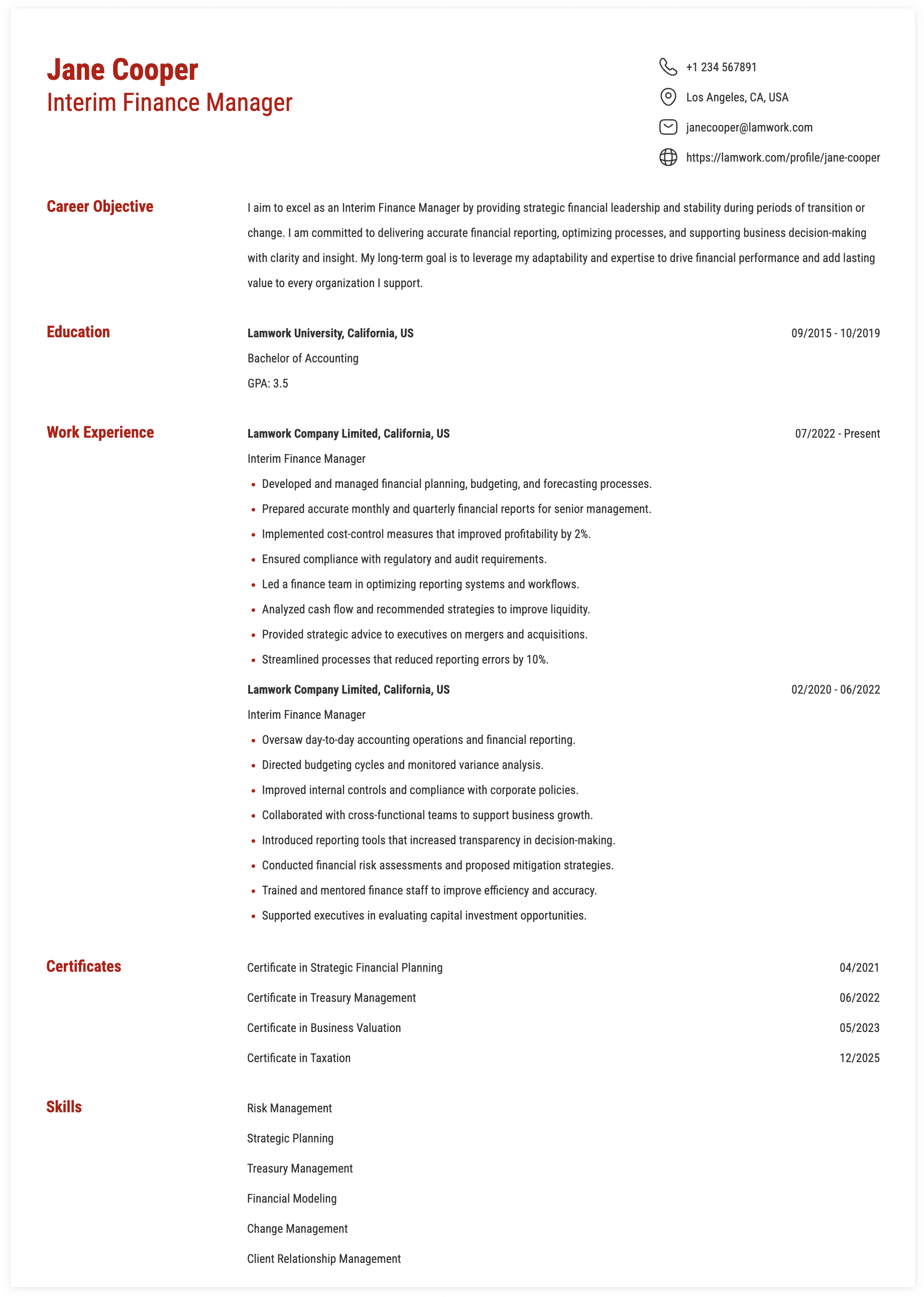 Interim Cv Example Interim Finance Manager Resume Example
