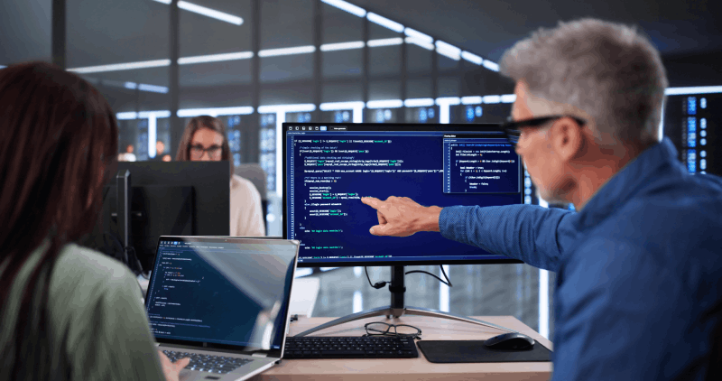 Web Developer Skills, Experiences, and Job Requirements