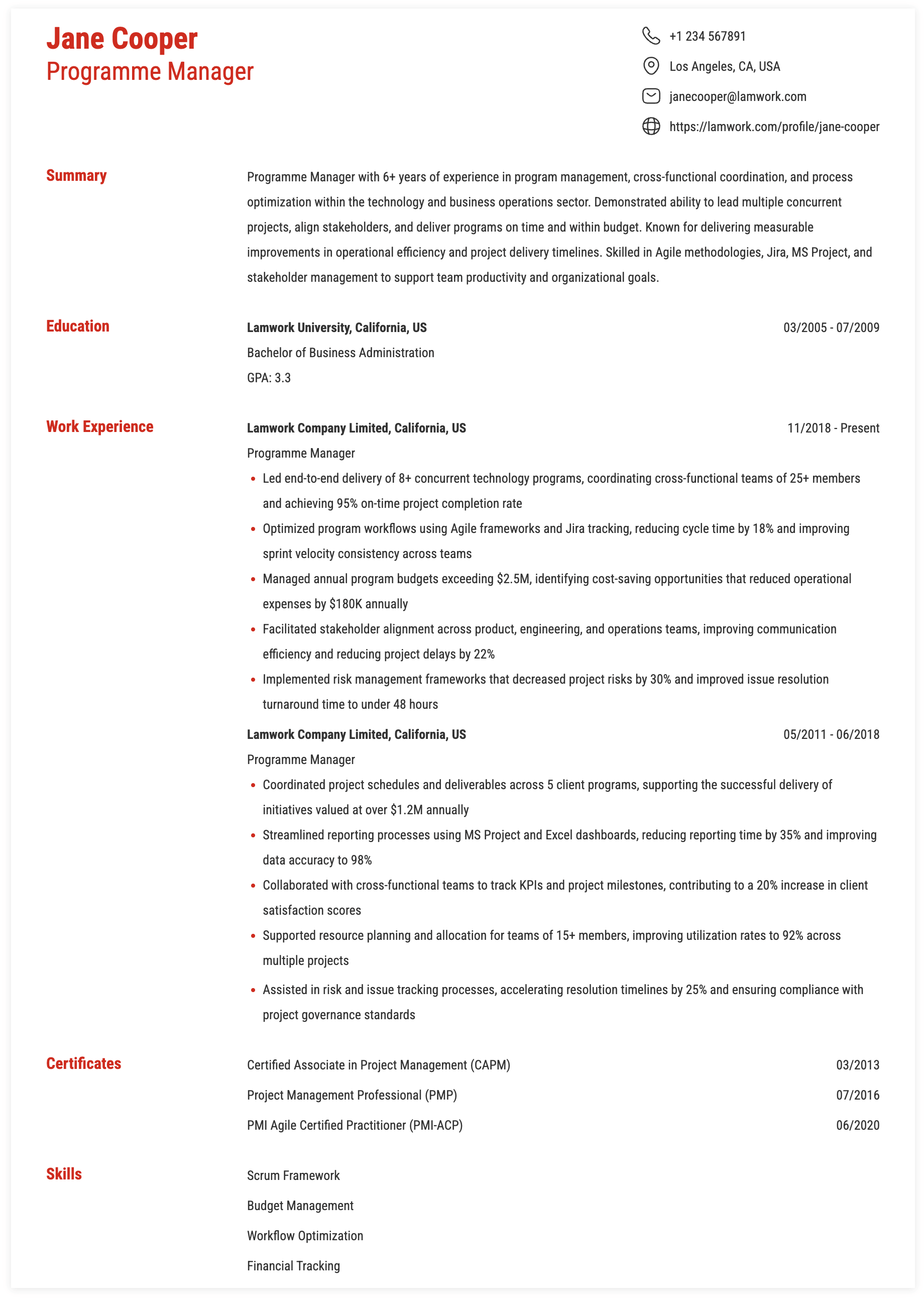 Programme Manager Resume Example