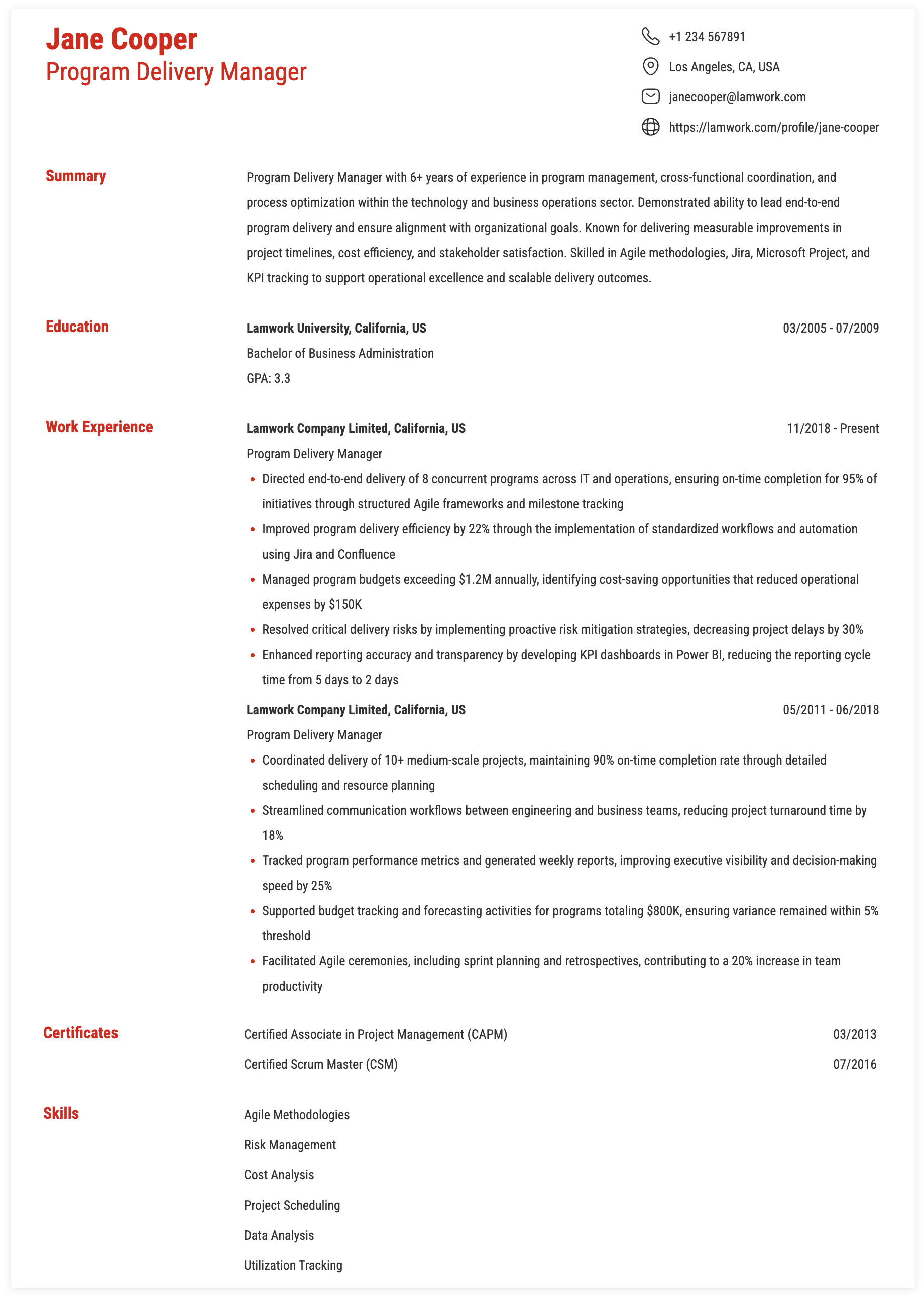 Program Delivery Manager Resume Example