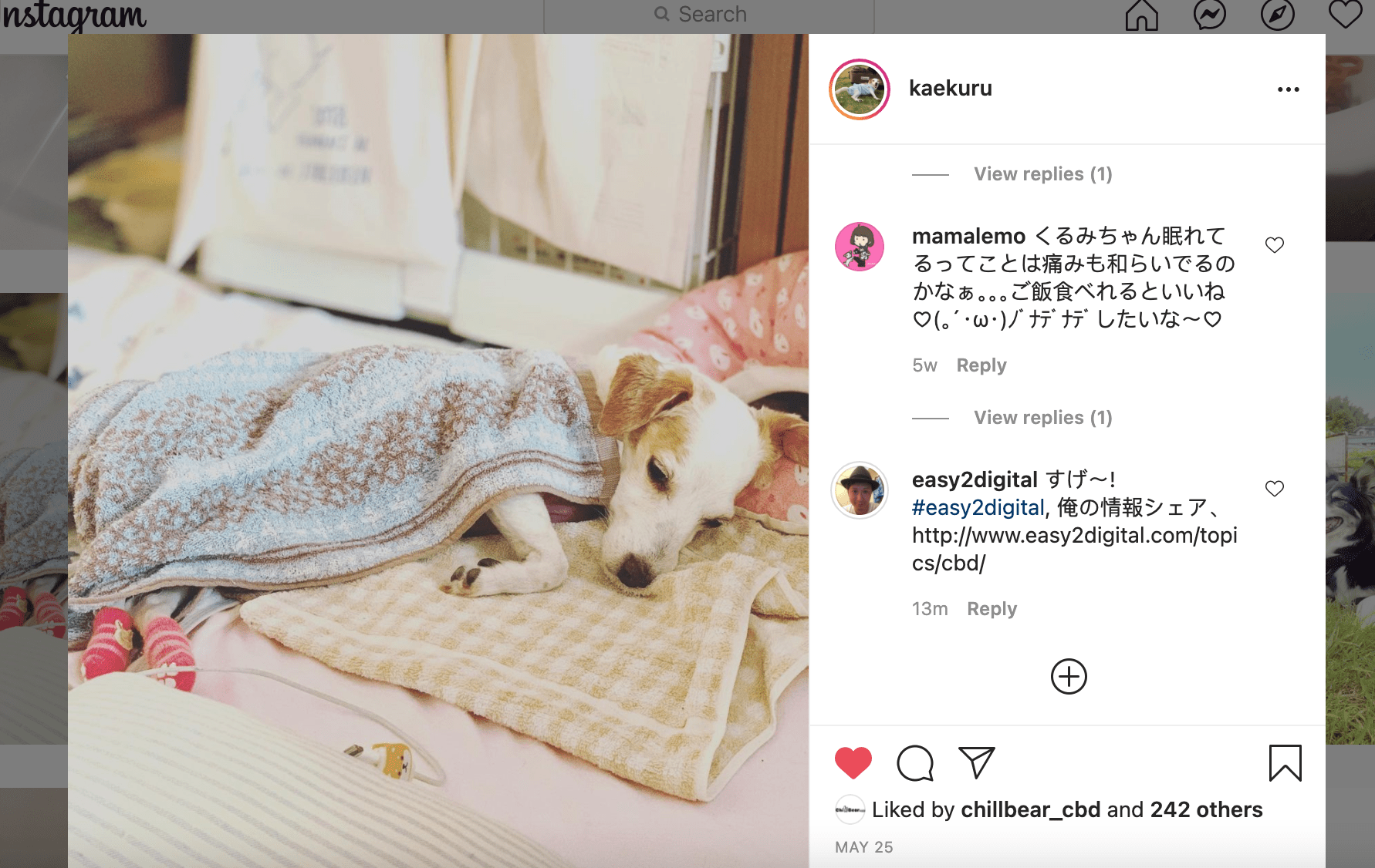 blog detail