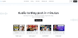 blog details