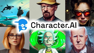blog detail