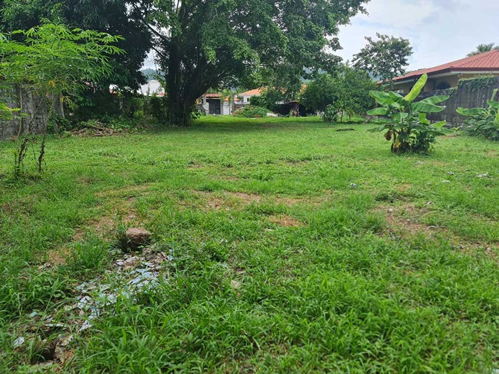 Foto de Terreno de 1,000 m² para Desarrollo en el Centro de Jacó