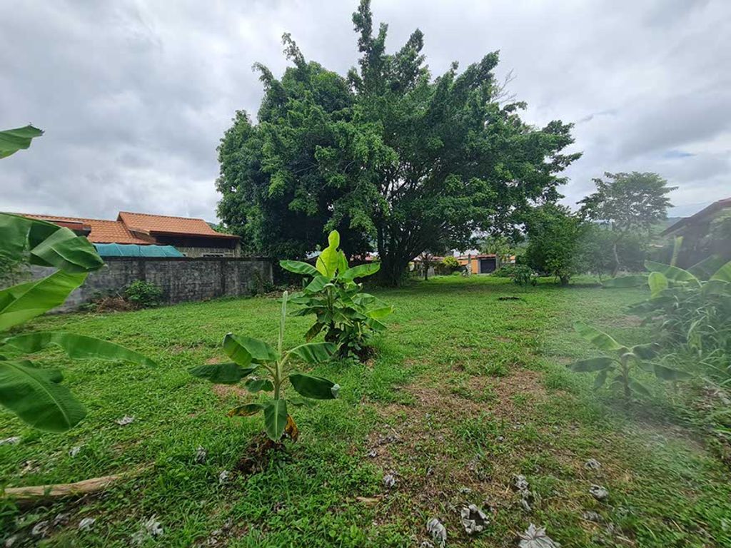 Foto de Terreno de 1,000 m² para Desarrollo en el Centro de Jacó