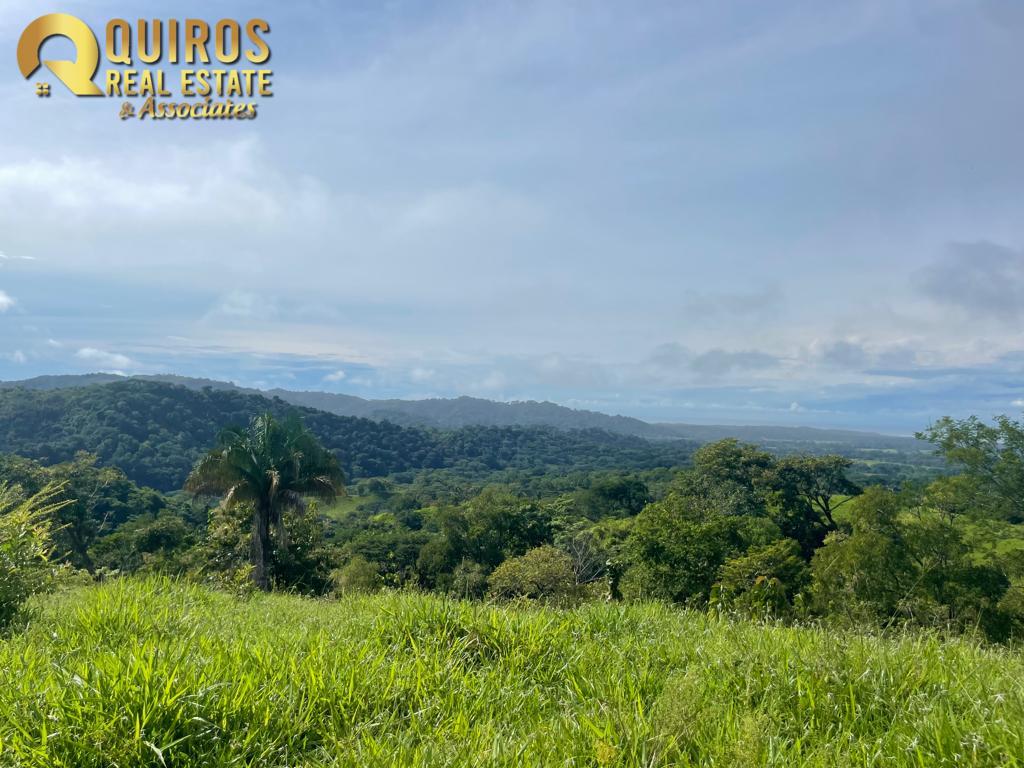 Foto 11 de Finca de 36 Hectáreas con Vista de 360° al Mar y Cascada Privada - Jacó