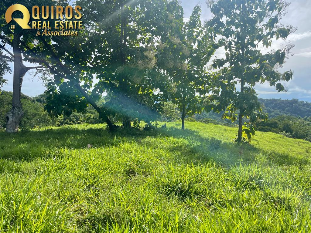 Foto 12 de Finca de 36 Hectáreas con Vista de 360° al Mar y Cascada Privada - Jacó