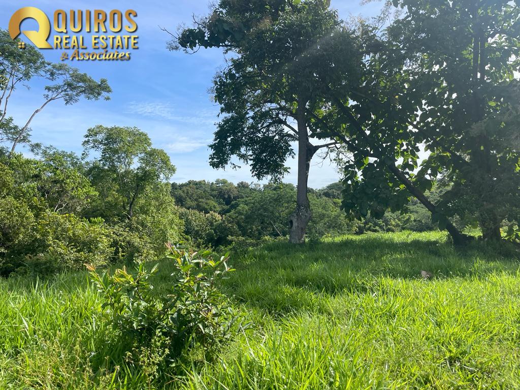 Foto 13 de Finca de 36 Hectáreas con Vista de 360° al Mar y Cascada Privada - Jacó