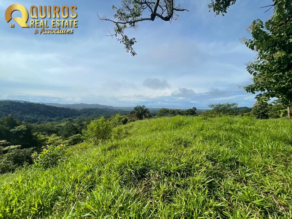 Foto 14 de Finca de 36 Hectáreas con Vista de 360° al Mar y Cascada Privada - Jacó