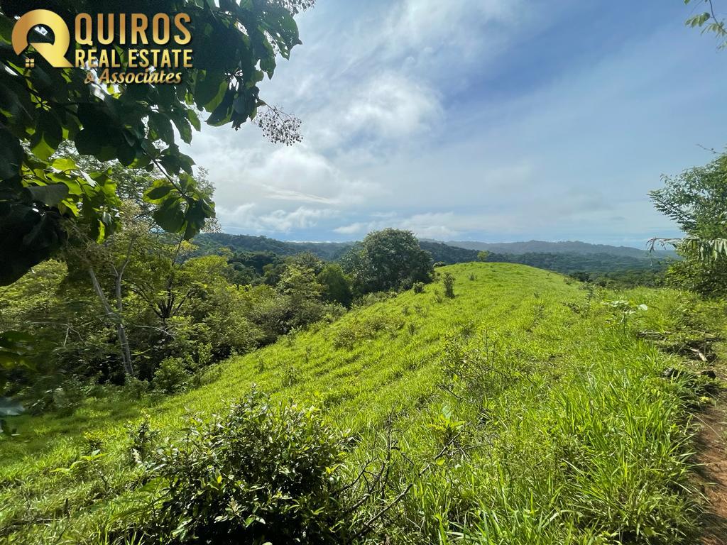 Foto 15 de Finca de 36 Hectáreas con Vista de 360° al Mar y Cascada Privada - Jacó