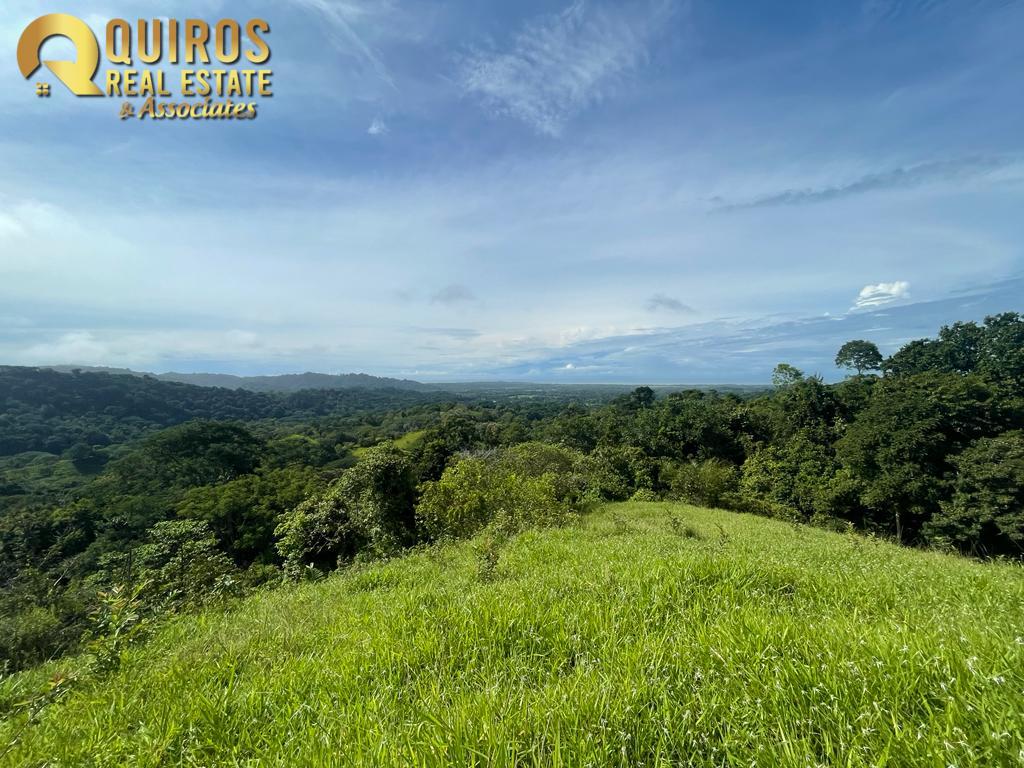 Foto 18 de Finca de 36 Hectáreas con Vista de 360° al Mar y Cascada Privada - Jacó
