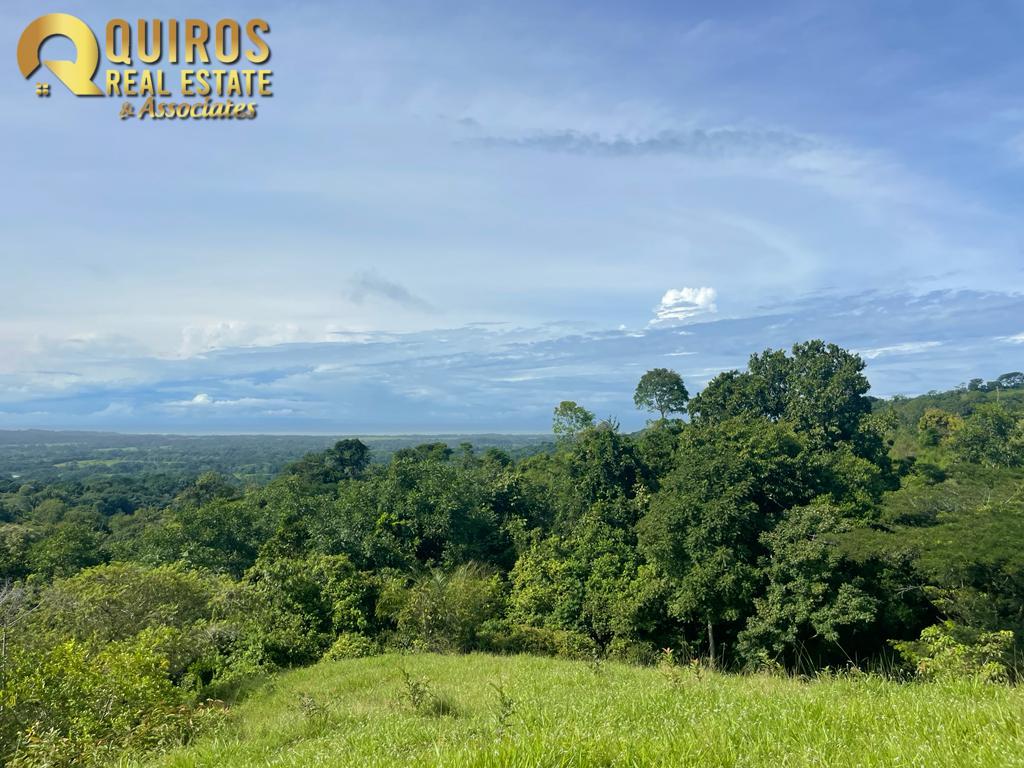 Foto 19 de Finca de 36 Hectáreas con Vista de 360° al Mar y Cascada Privada - Jacó