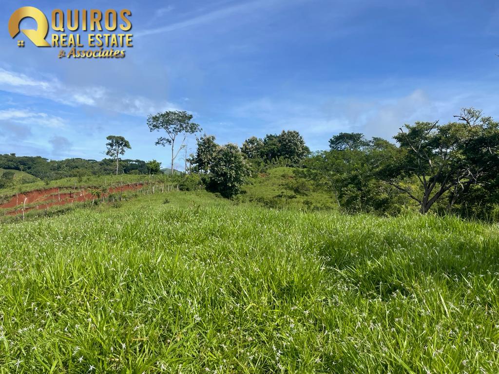 Foto 20 de Finca de 36 Hectáreas con Vista de 360° al Mar y Cascada Privada - Jacó