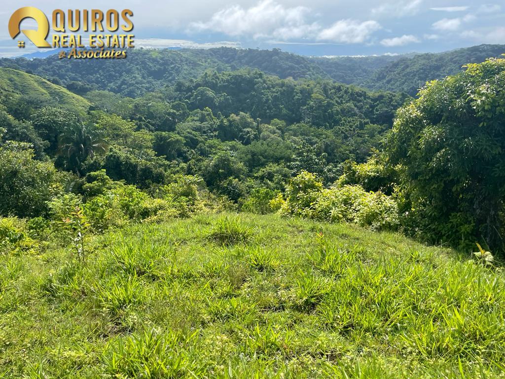 Foto 21 de Finca de 36 Hectáreas con Vista de 360° al Mar y Cascada Privada - Jacó