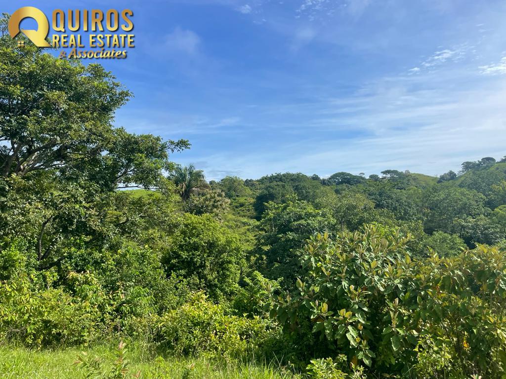Foto 22 de Finca de 36 Hectáreas con Vista de 360° al Mar y Cascada Privada - Jacó