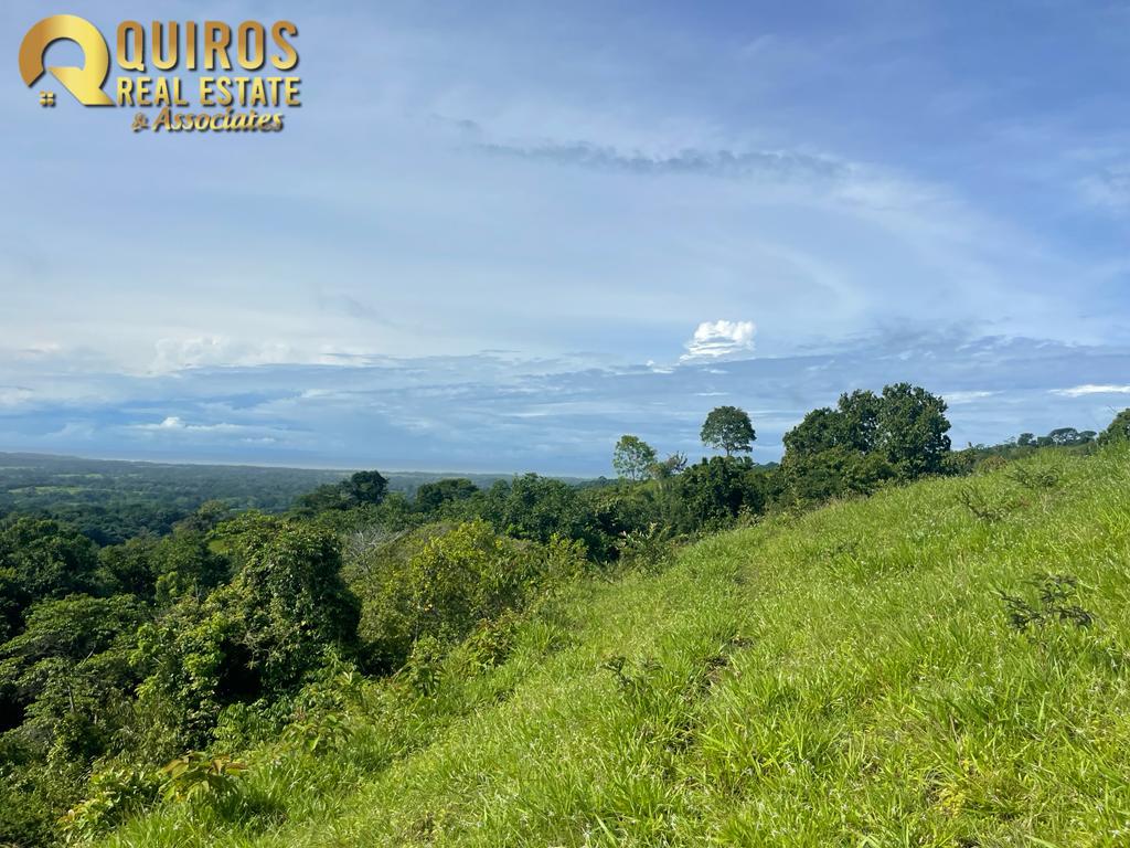 Foto 23 de Finca de 36 Hectáreas con Vista de 360° al Mar y Cascada Privada - Jacó