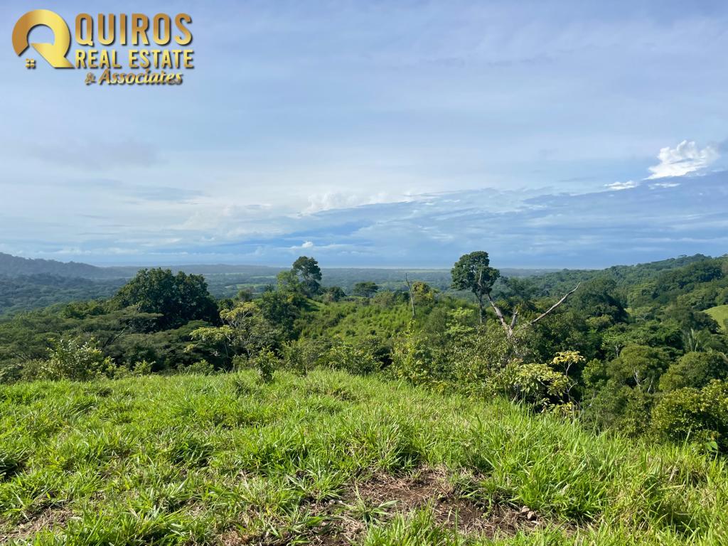 Foto 24 de Finca de 36 Hectáreas con Vista de 360° al Mar y Cascada Privada - Jacó