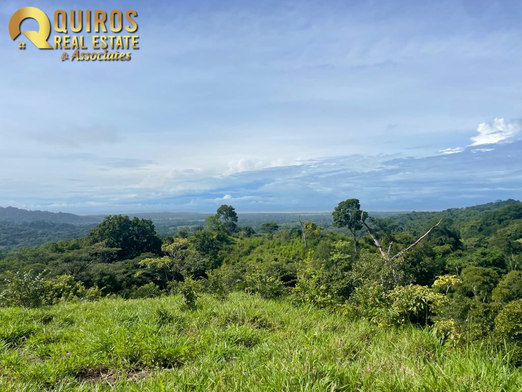 Foto 25 de Finca de 36 Hectáreas con Vista de 360° al Mar y Cascada Privada - Jacó