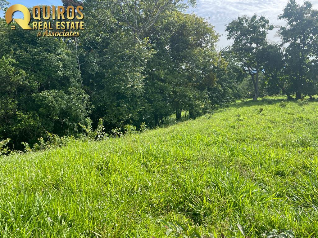 Foto 6 de Finca de 36 Hectáreas con Vista de 360° al Mar y Cascada Privada - Jacó