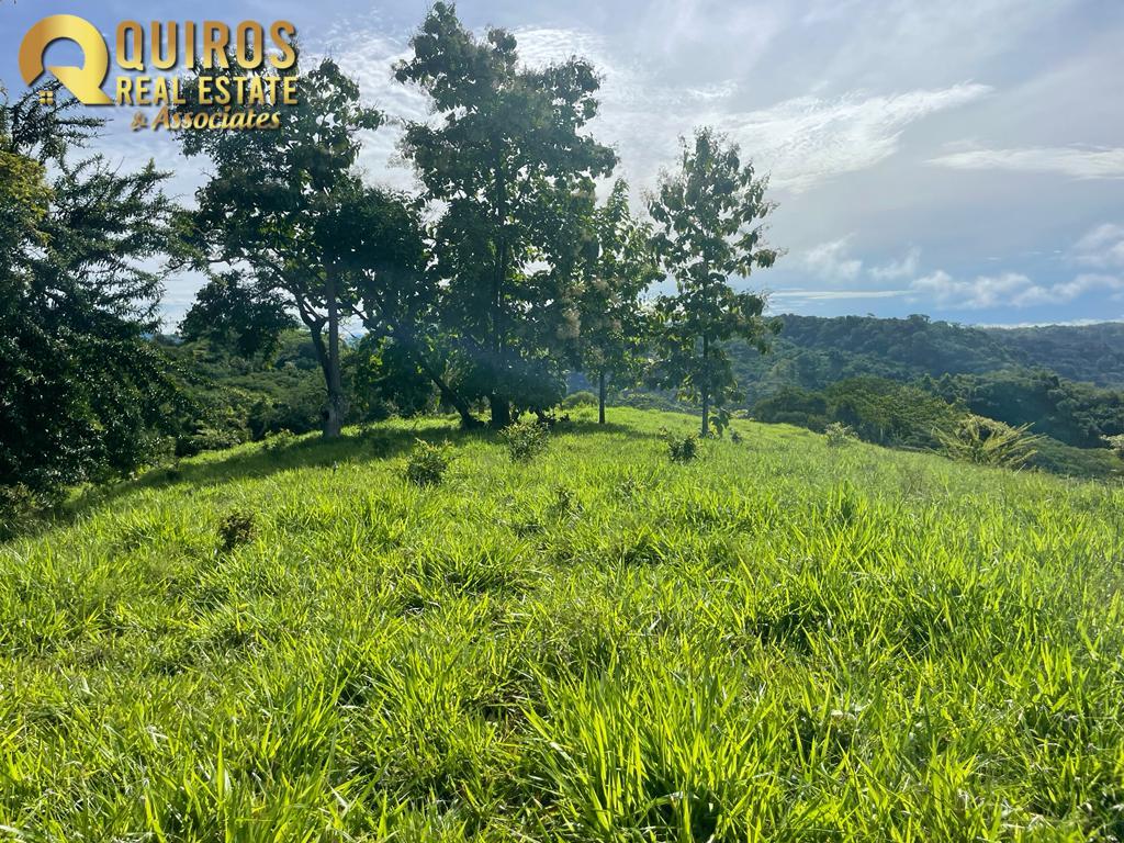 Foto 7 de Finca de 36 Hectáreas con Vista de 360° al Mar y Cascada Privada - Jacó