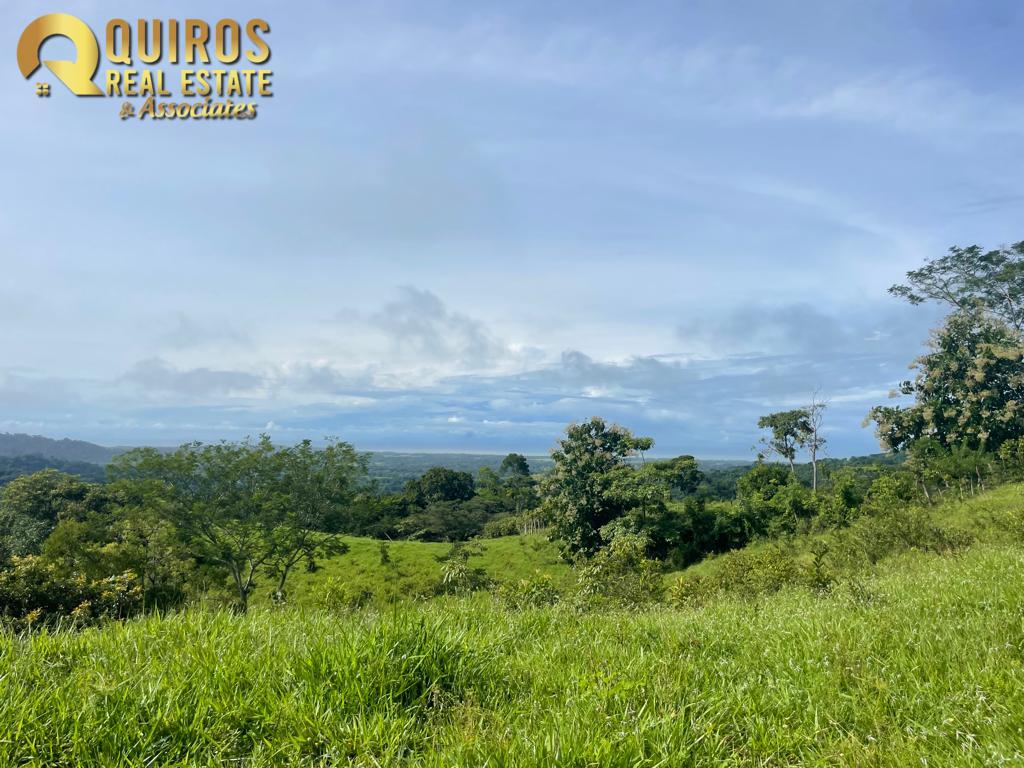 Foto 9 de Finca de 36 Hectáreas con Vista de 360° al Mar y Cascada Privada - Jacó