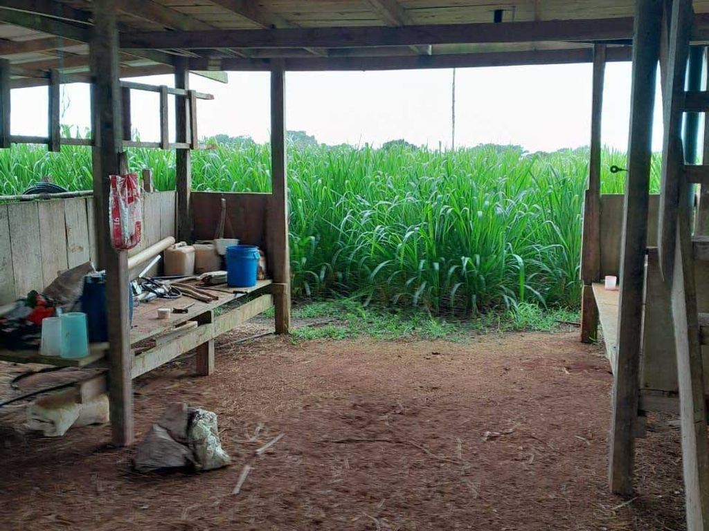 Foto de Finca Ganadera de 170 Hectáreas con Vista al Mar entre Jacó y Parrita
