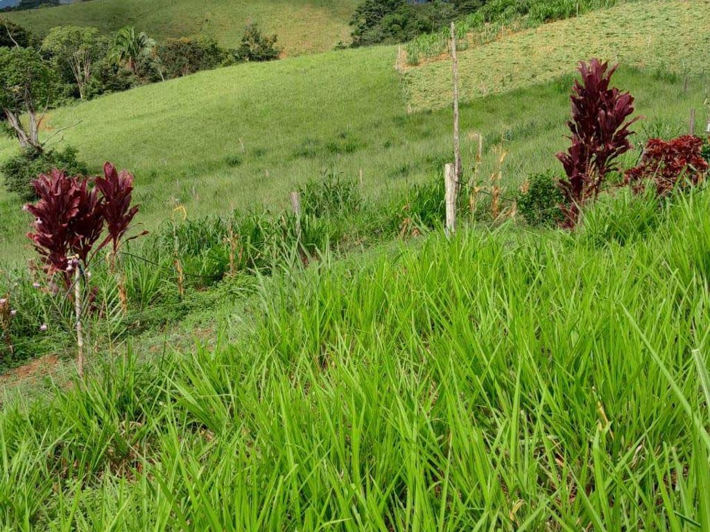 Foto 6 de Finca Ganadera de 170 Hectáreas con Vista al Mar entre Jacó y Parrita