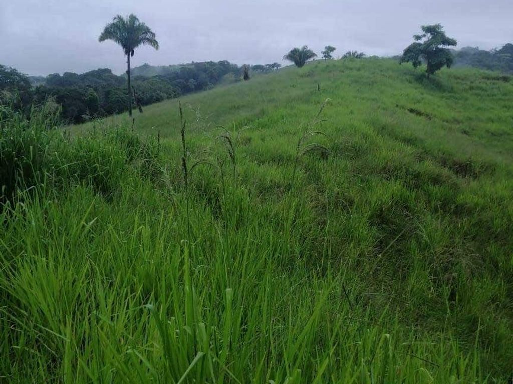Foto 9 de Finca Ganadera de 170 Hectáreas con Vista al Mar entre Jacó y Parrita