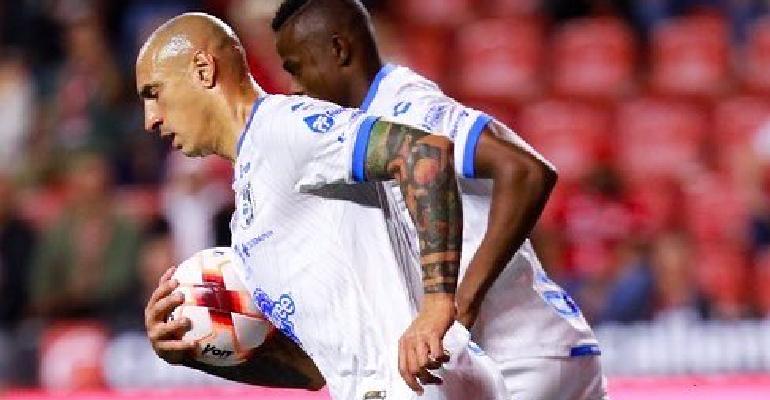 Gallos