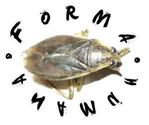 FORMA HUMANA