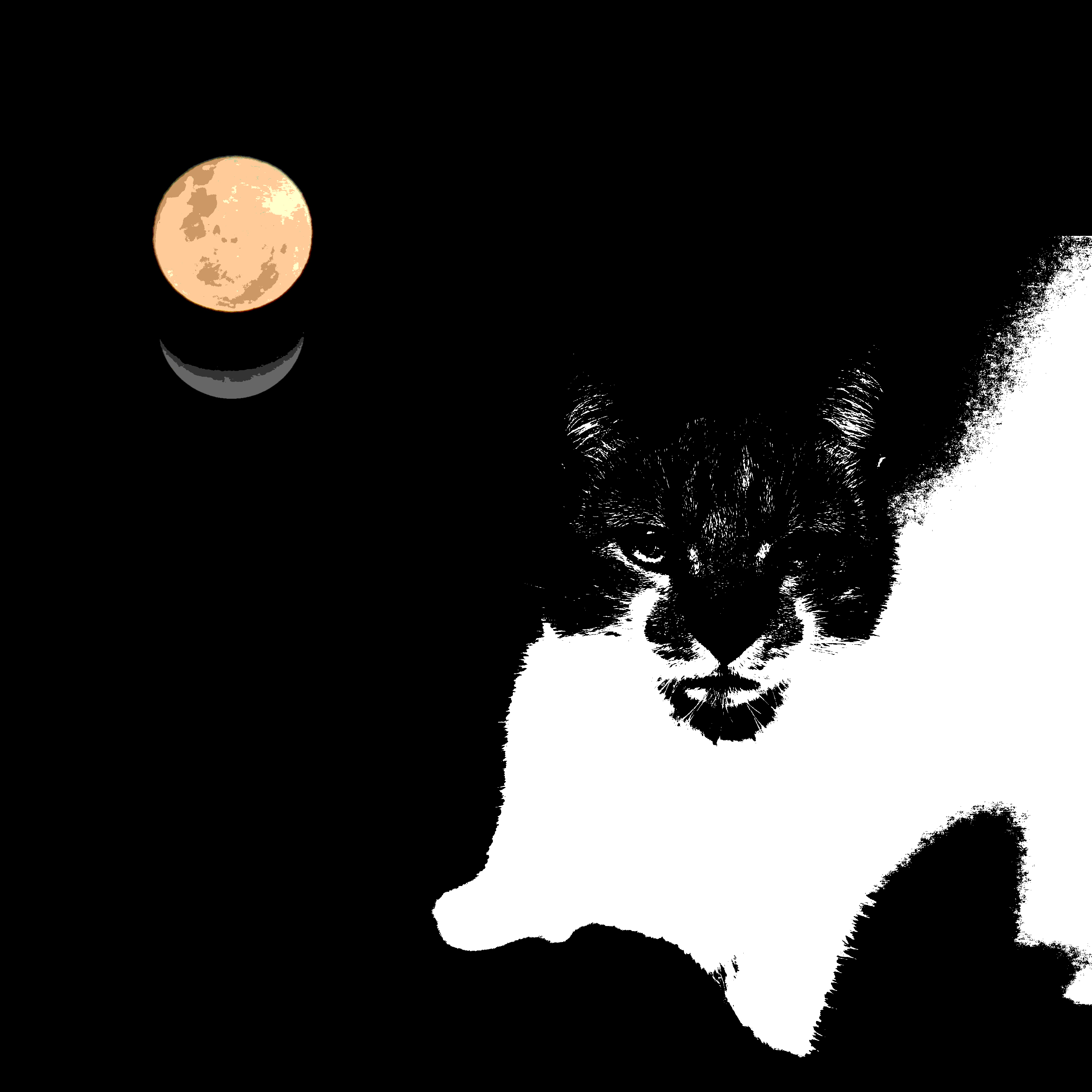 Moonstuff