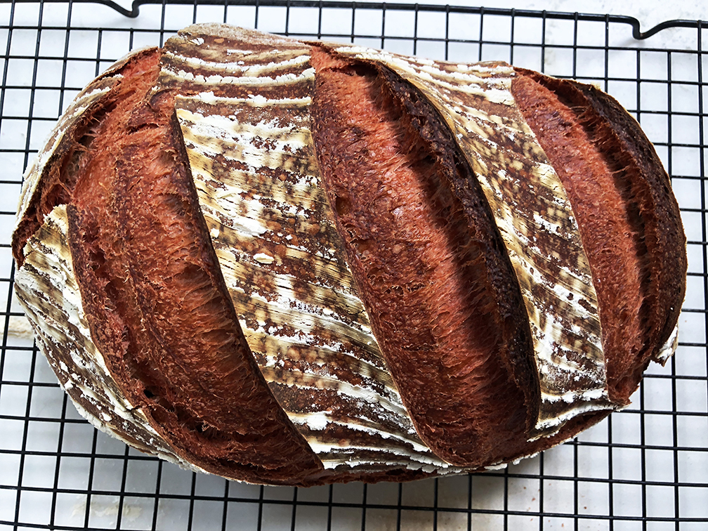 Pão de Beterraba com Levain