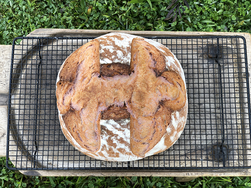 Pão de Batata-Doce Roxa com Levain