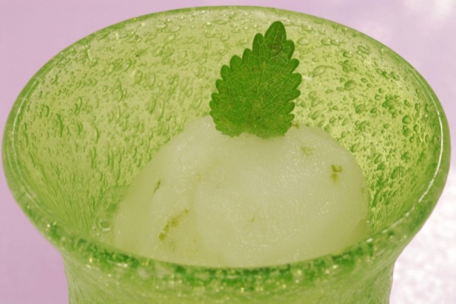 Sorbet de Limão