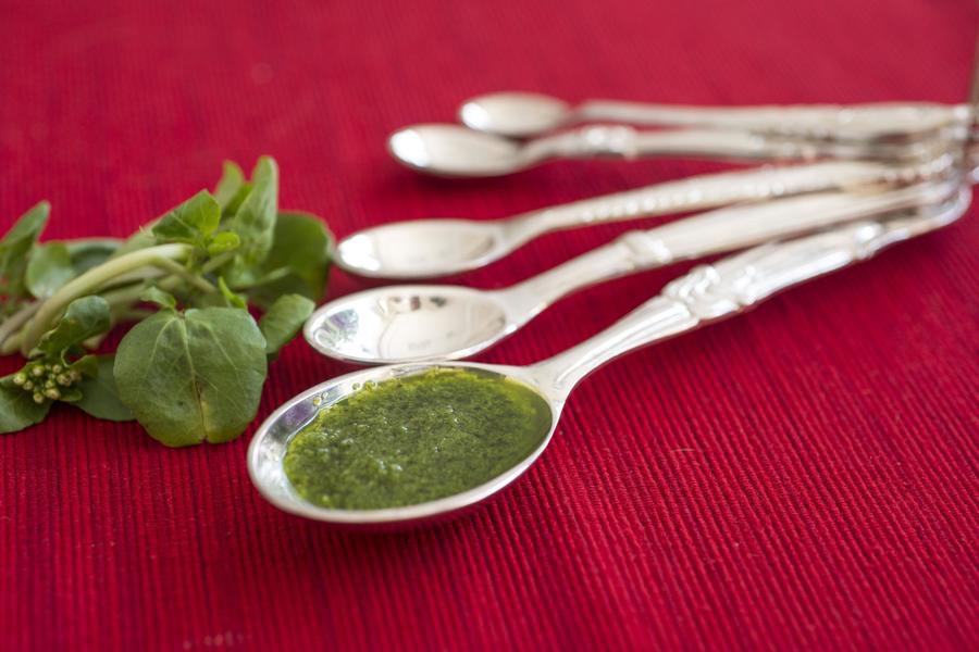 Pesto de Agrião