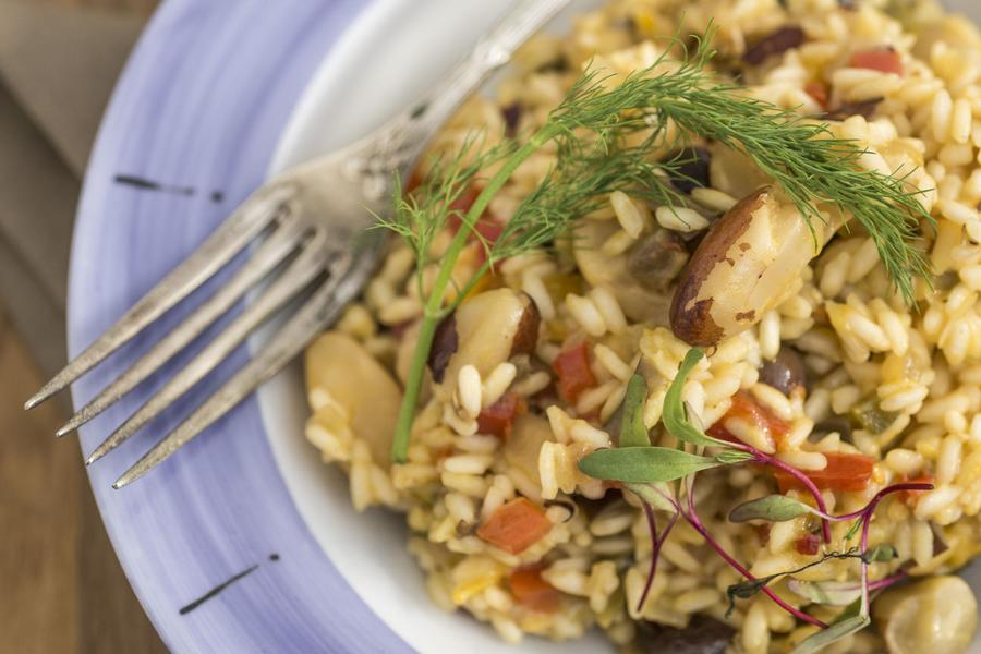 Risoto de Berinjela com Castanha-do-Pará